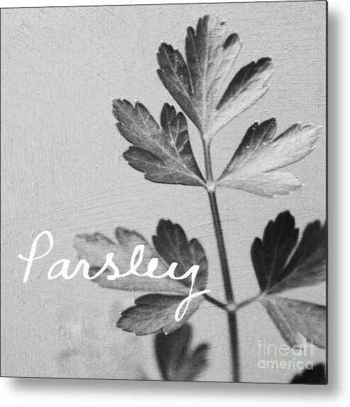 Parsley Metal Print featuring the mixed media Parsley by Linda Woods