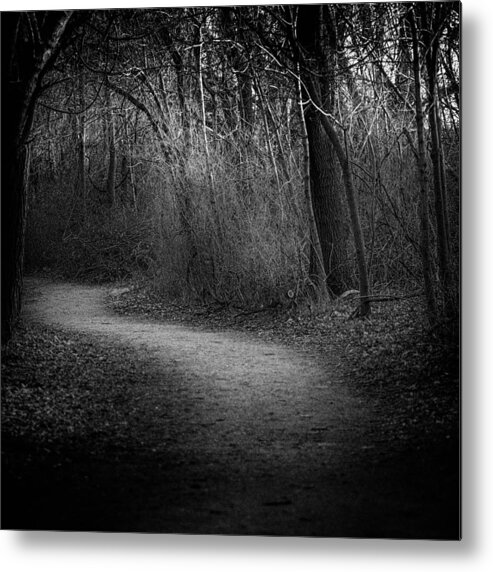 Woods Metal Print featuring the photograph Path of Mystique by John Daly