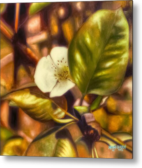 Delicate Metal Print featuring the painting Pear Blossom by Melissa Herrin