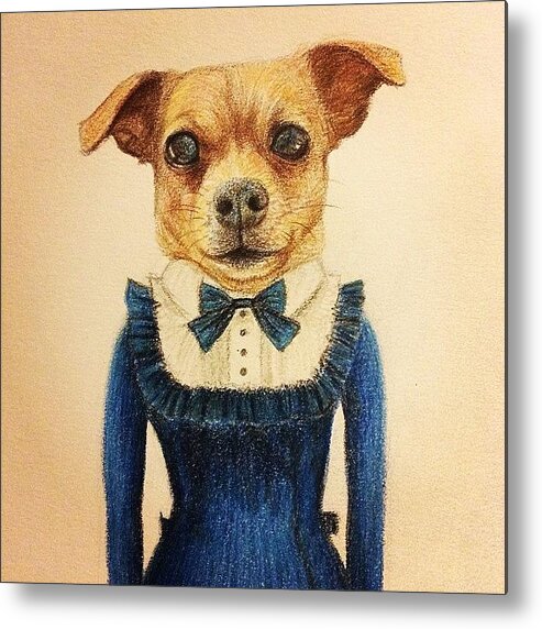  Metal Print featuring the photograph Pencil Drawing Pet Dog In Girly Dress by Wind Z