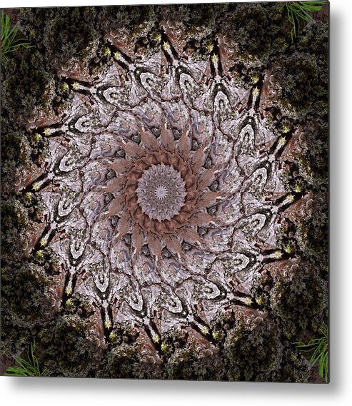 Pine Tree Metal Print featuring the photograph Pine Bark Mandala #1 by Beth Venner