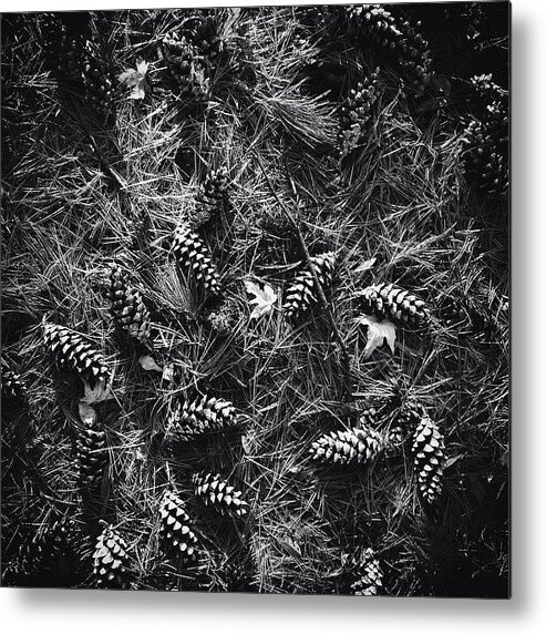 Patterns Metal Print featuring the photograph Pine Cones And Patterns - Monochrome by Frank J Casella