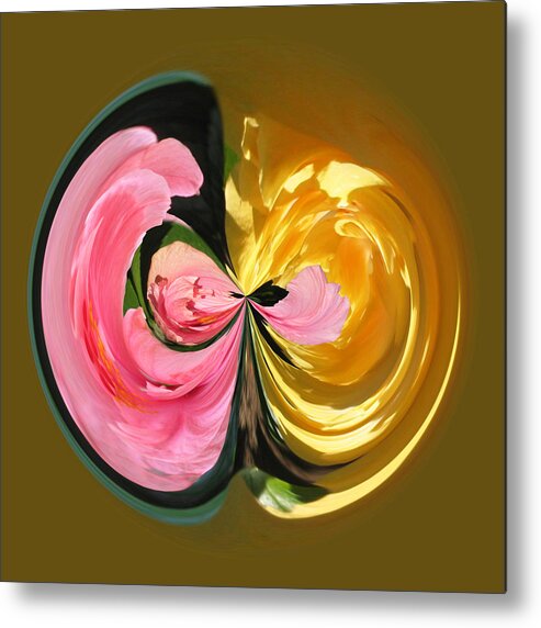Flowers Metal Print featuring the photograph Pink and Yellow Hibiscus 801 by Jim Baker