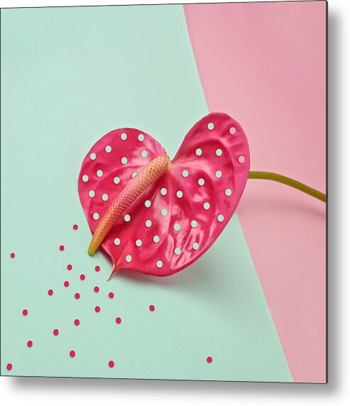 Color Image Metal Print featuring the photograph Pink Anthurium by Juj Winn