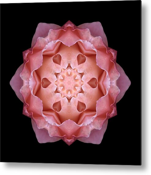 Flower Metal Print featuring the photograph Pink Fall Rose Flower Mandala by David J Bookbinder