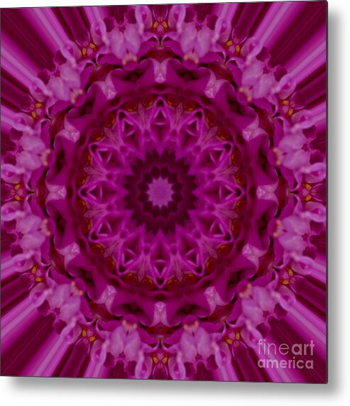Mandala Metal Print featuring the photograph Pink Mandala Image 1 by Carrie Cranwill