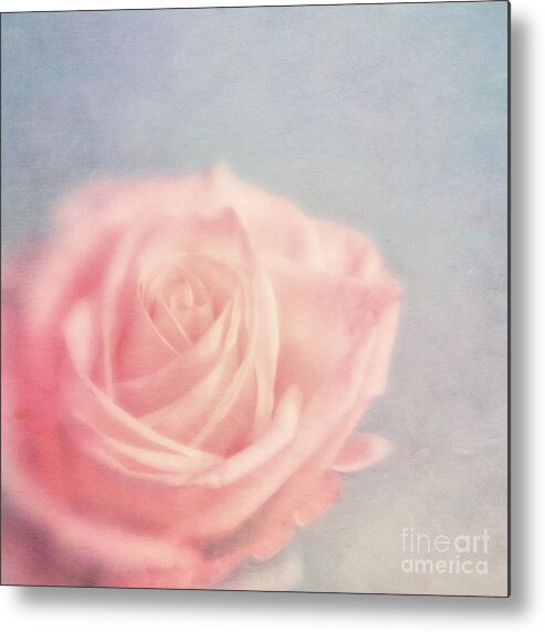 Lensbaby Metal Print featuring the photograph pink moments I by Priska Wettstein