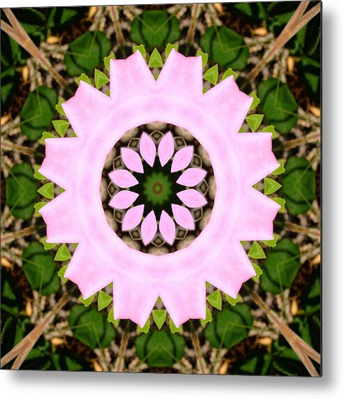 Flowers Metal Print featuring the photograph Pink Prairie Rose by Scott Kingery