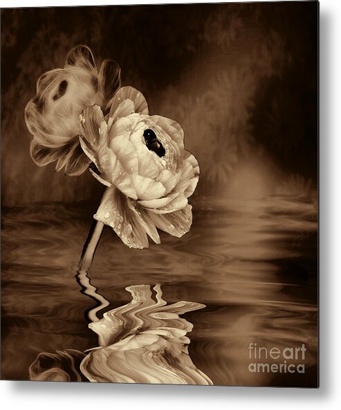 Poppy Metal Print featuring the photograph Poppy Fantasy in Sepia by Shirley Mangini