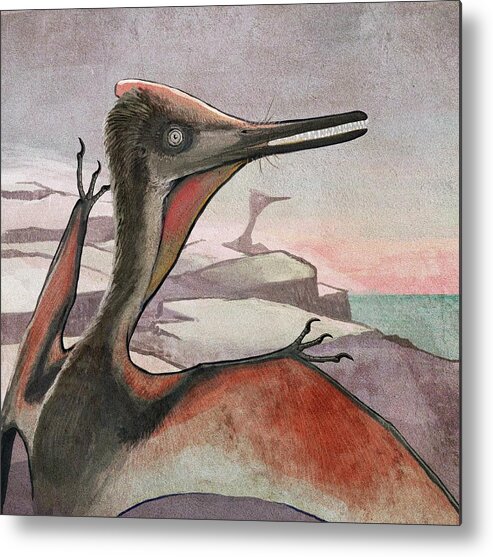 Pterodactylus Metal Print featuring the photograph Pterodactyl Flying Reptile by Nemo Ramjet/science Photo Library