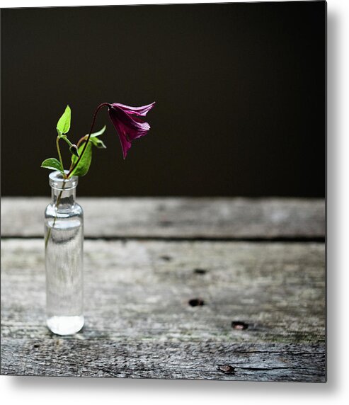 Vase Metal Print featuring the photograph Purple Flower With Vase by Suzanne Marshall