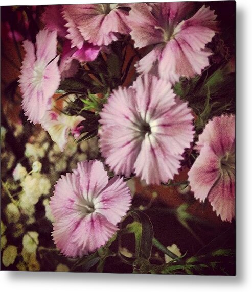 Style Metal Print featuring the photograph #purple #flowers #ihavenoclue #pretty by Amber Campanaro