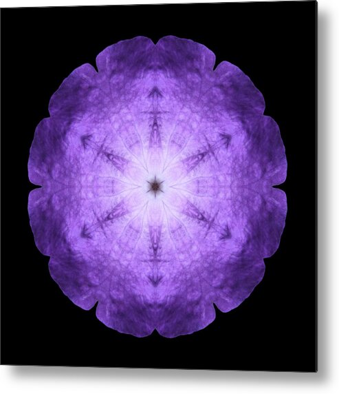 Flower Metal Print featuring the photograph Purple Petunia I Flower Mandala by David J Bookbinder