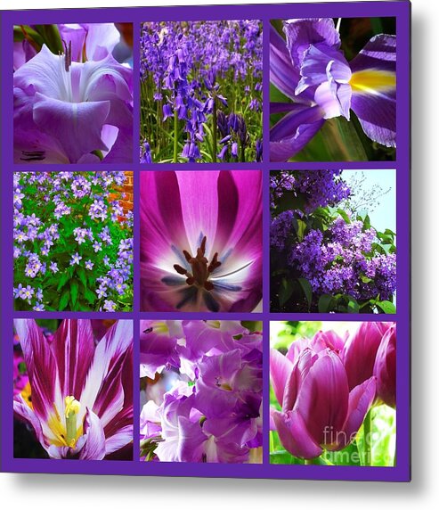 Purple Flowers Metal Print featuring the photograph Purple Window by Joan-Violet Stretch