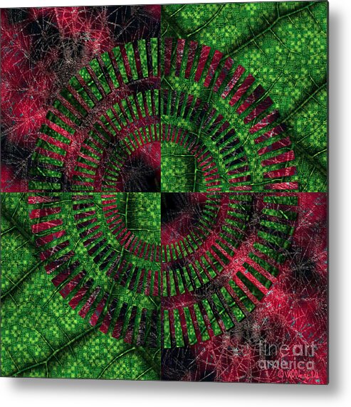 Conceptuals Metal Print featuring the digital art Quarter Fusion 2 by Walter Neal