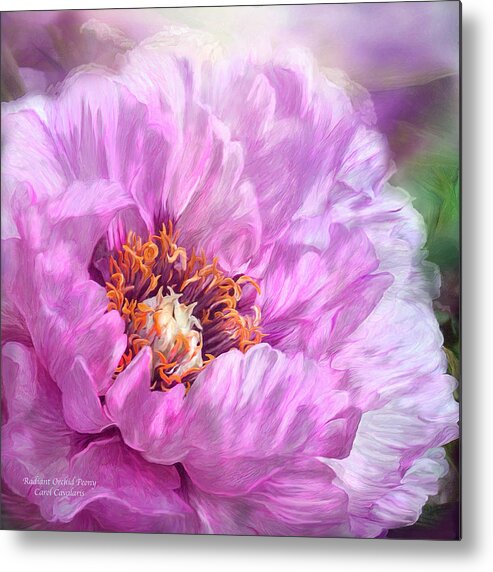 Peony Metal Print featuring the mixed media Radiant Orchid Peony by Carol Cavalaris