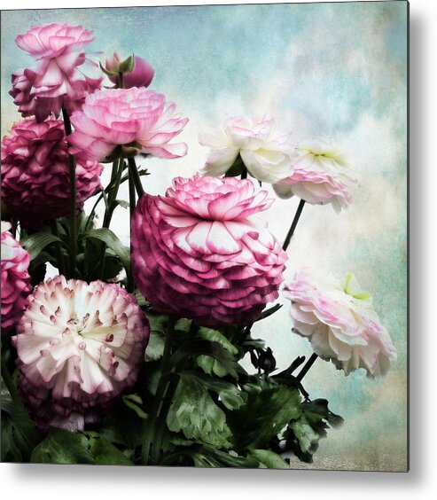 Flowers Metal Print featuring the photograph Ranunculus Blooming by Jessica Jenney