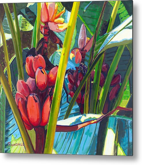 Bananas Metal Print featuring the painting Red and Green by David Randall