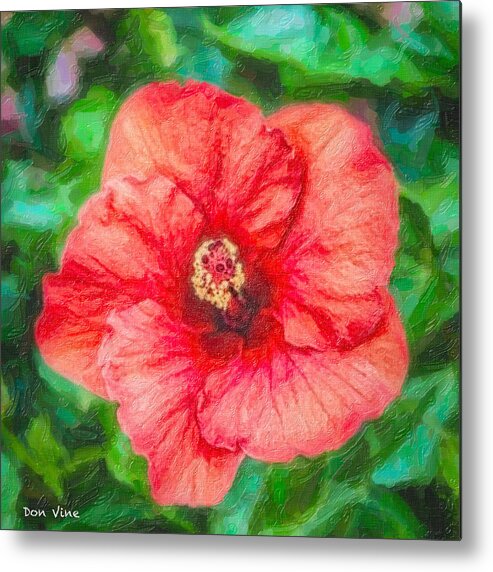  Metal Print featuring the photograph Red Garden Hibiscus dp by Don Vine