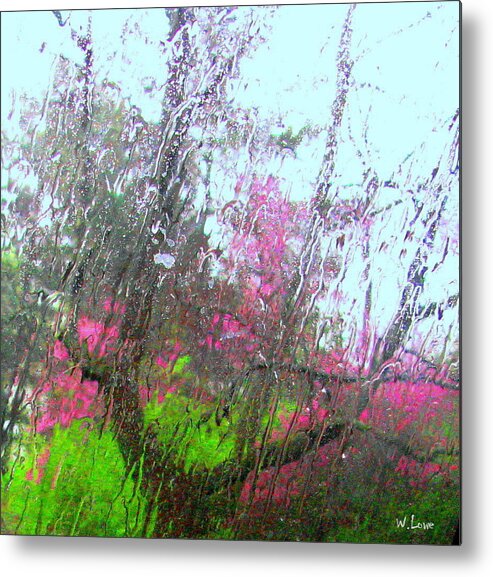 Redbud Metal Print featuring the photograph Redbud Trees by Wendell Lowe
