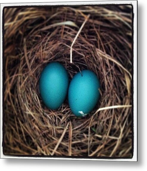 Nest Metal Print featuring the photograph Robins Egg Blue, The Color Of Spring by Hermes Fine Art