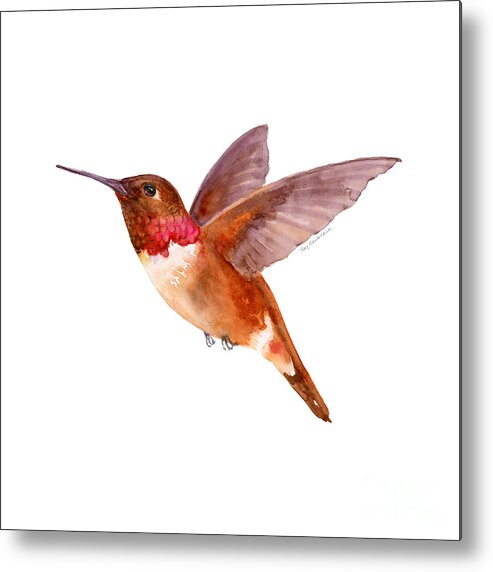 Bird Metal Print featuring the painting Rufous Hummingbird by Amy Kirkpatrick