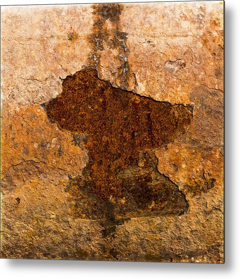 Rust Metal Print featuring the photograph Rust by Frank Winters
