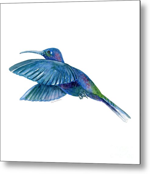 Bird Metal Print featuring the painting Sabrewing Hummingbird by Amy Kirkpatrick