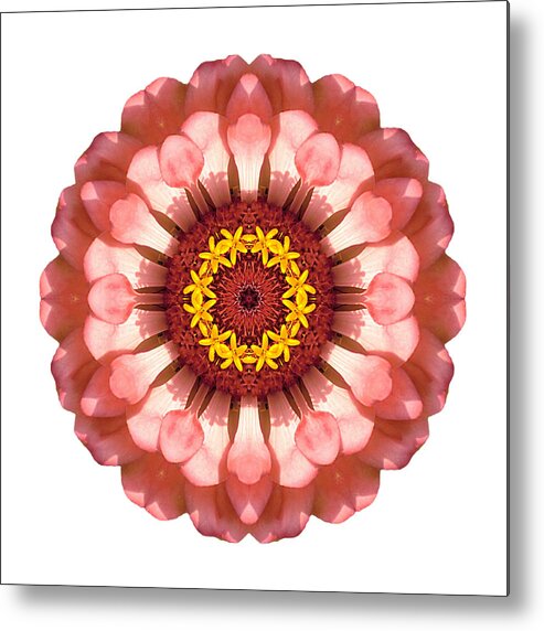 Flower Metal Print featuring the photograph Salmon Zinnia Elegans IV Flower Mandala White by David J Bookbinder