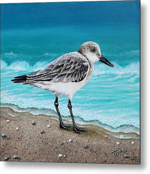 Shore Bird Metal Print featuring the painting Sanderling by Tish Wynne