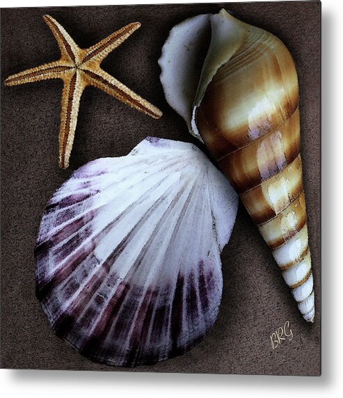 Seashell Metal Print featuring the photograph Seashells Spectacular No 37 by Ben and Raisa Gertsberg