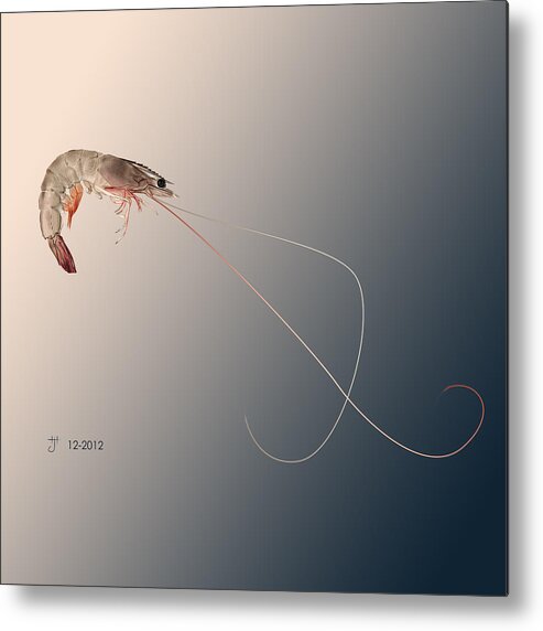 Shrimp Metal Print featuring the painting Shrimp by Hayden Hammond