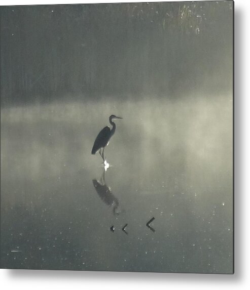 Heron Metal Print featuring the photograph Silhouette by Catherine Arcolio