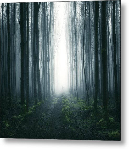 Scenics Metal Print featuring the photograph Silhouette of a person standing in a forest, Cootehill, County Cavan, Ireland by Mariuskasteckas