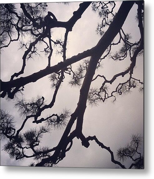 Tree Metal Print featuring the photograph #sky #landscape #tree by Tokyo Sanpopo
