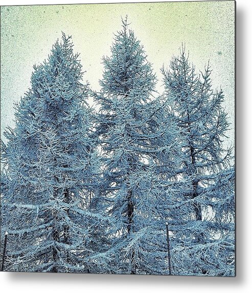 Mountain Metal Print featuring the photograph Snow-covered-trees
#beatiful #tree by Amar Geddon