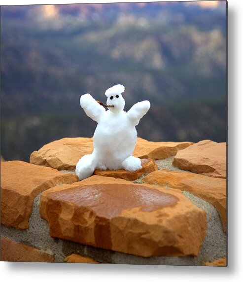 1101 Metal Print featuring the photograph Snowman At Bryce - Square by Gordon Elwell