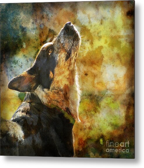 Dog Metal Print featuring the digital art Something in the Wind by Judy Wood