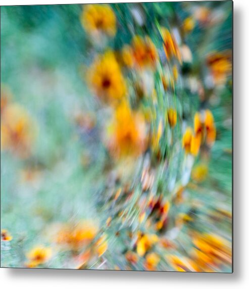 Floral Abstract Metal Print featuring the photograph Sonic by Darryl Dalton