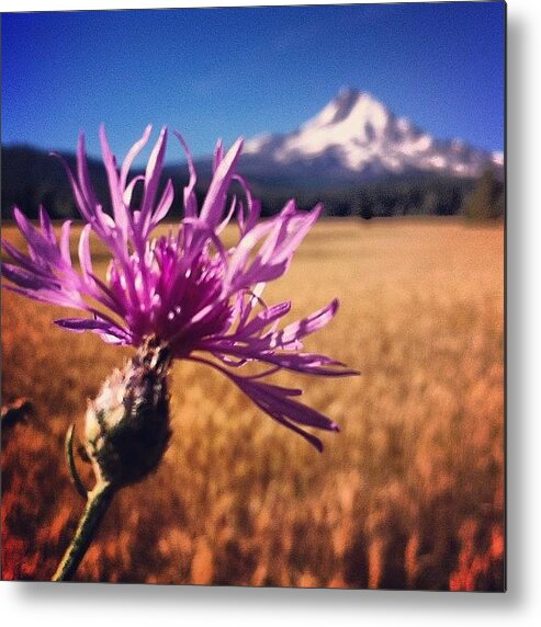 Beautiful Metal Print featuring the photograph Spent Several Hours At Mt Hood Today by Mike Warner