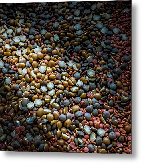 Pea Metal Print featuring the photograph Split Pea Abstract by Bob Orsillo