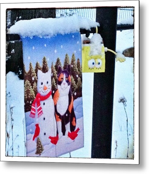 Fun Metal Print featuring the photograph #spongebob Enjoying The #snow From by Teresa Mucha