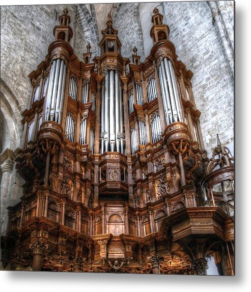 France Metal Print featuring the photograph Spooky organ by Jenny Setchell
