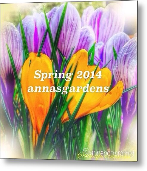 Waterlogue Metal Print featuring the photograph Spring 2014 Annasgardens #flipagram by Anna Porter