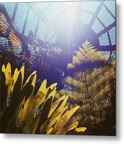  Metal Print featuring the photograph Spring Has Sprung. // by Alex Mortensen