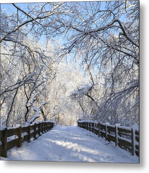 Winter Metal Print featuring the photograph Spring Snow Bridge by Forest Floor Photography