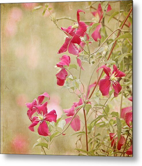 Red Flower Metal Print featuring the photograph Spring Whisper by Kim Hojnacki