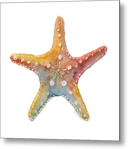 Shell Metal Print featuring the painting Starfish by Amy Kirkpatrick