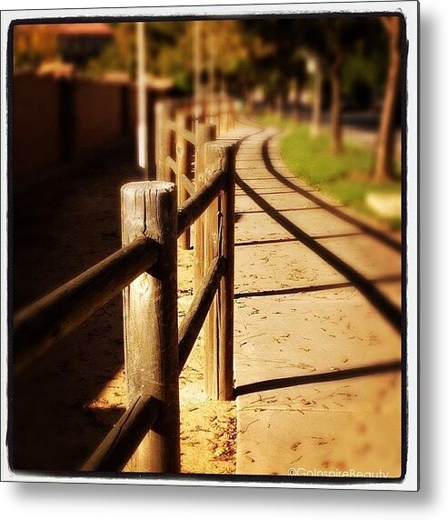 Path Metal Print featuring the photograph Follow the Path by J Lopez