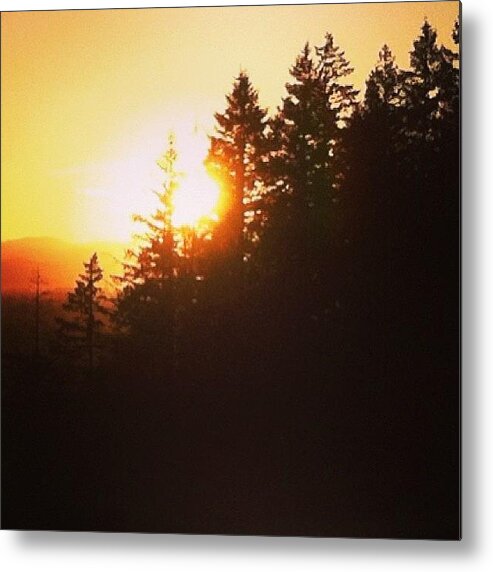 Beautiful Metal Print featuring the photograph Summer Sunset In Oregon by Mike Warner